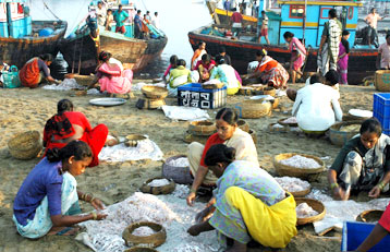  Versova Fishing Village, Mumbai