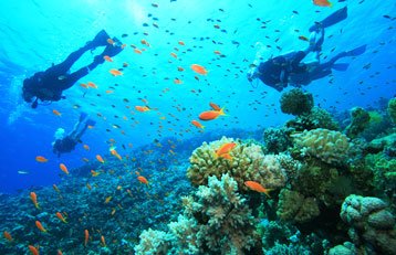 Snorkeling & Bbq, Goa