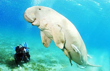 Andaman & Nicobar Island Tour