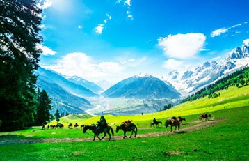New Delhi with Kashmir Tour